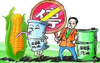 乙醇燃料能否取代傳統燃油引領能源革命？